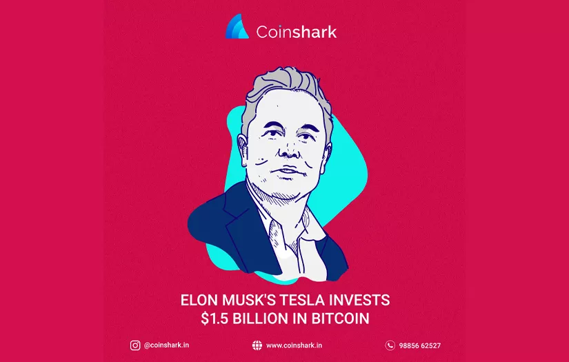 COINSHARK - BRANDING WORK screenshot 5